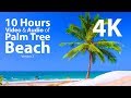 4K UHD 10 hours - Tropical Beach & Gentle Lapping Waves - mindfulness, relaxing, meditation, nature