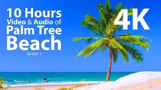 4K UHD 10 hours - Tropical Beach \& Gentle Lapping Waves - mindfulness, relaxing, meditation, nature