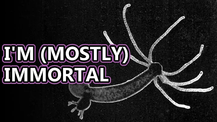 Hydra facts: not the mythical beast! | Animal Fact Files