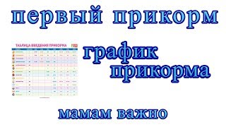 Первый прикорм - график прикорма Первый прикорм - график прикорма