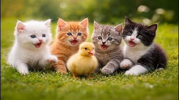 🐱💖 Cute Little Kittens Having Fun Outside | Adorable Cat Videos with Natural Meows