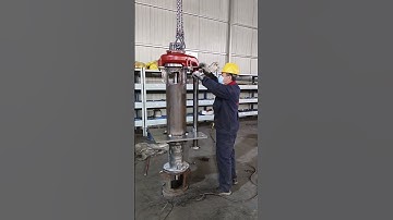 SP vertical pump assembly