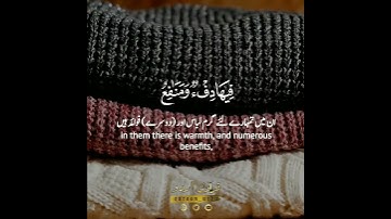 ✨والأنعام خلقها لكم فيها دفء🧣 سورة النحل:٥|أبوبكر بن عبدالعزيز|Surah An Nahl:5|AbuBakr Abdul Aziz