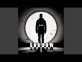 Shadow mp3