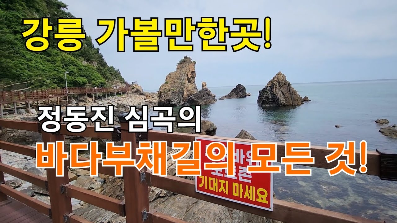 강릉 가볼만한곳/정동진 심곡의 바다부채길의 모든 것! - YouTube