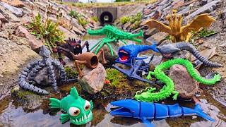 We Found LEGENDARY Ocean Monsters! BLOOP, KRAKEN, SEA EATER, EL GRAN MAJA & SCP-3000