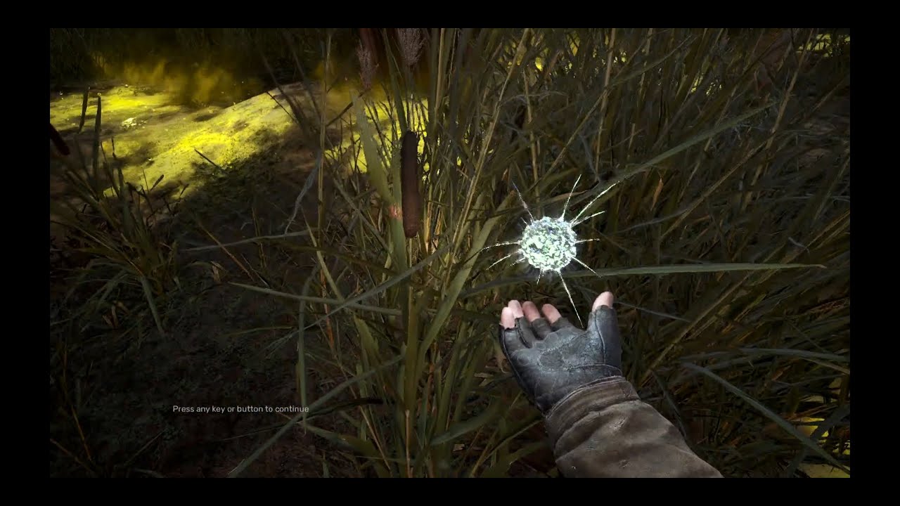 STALKER 2. №76. Artifacts: "Crystal thorn", "Ciliate" and "Moonlight". Location "Hydrodynamics lab"