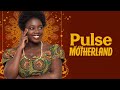 Pulse of the Motherland – Full Afrobeat Album 2025 | Afrobeat, Calypso & Salsa Fusion