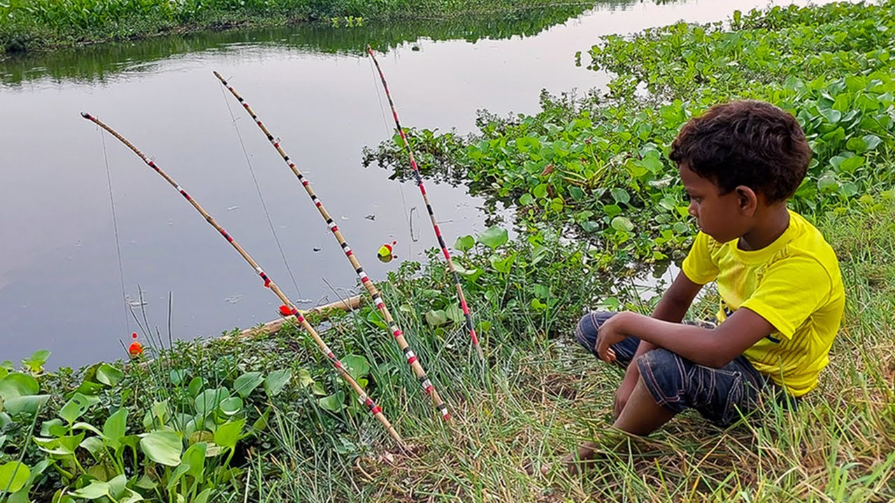 Really Amazing Village Hook Fishing Video Little Boy Catching big golden fish by Hook 