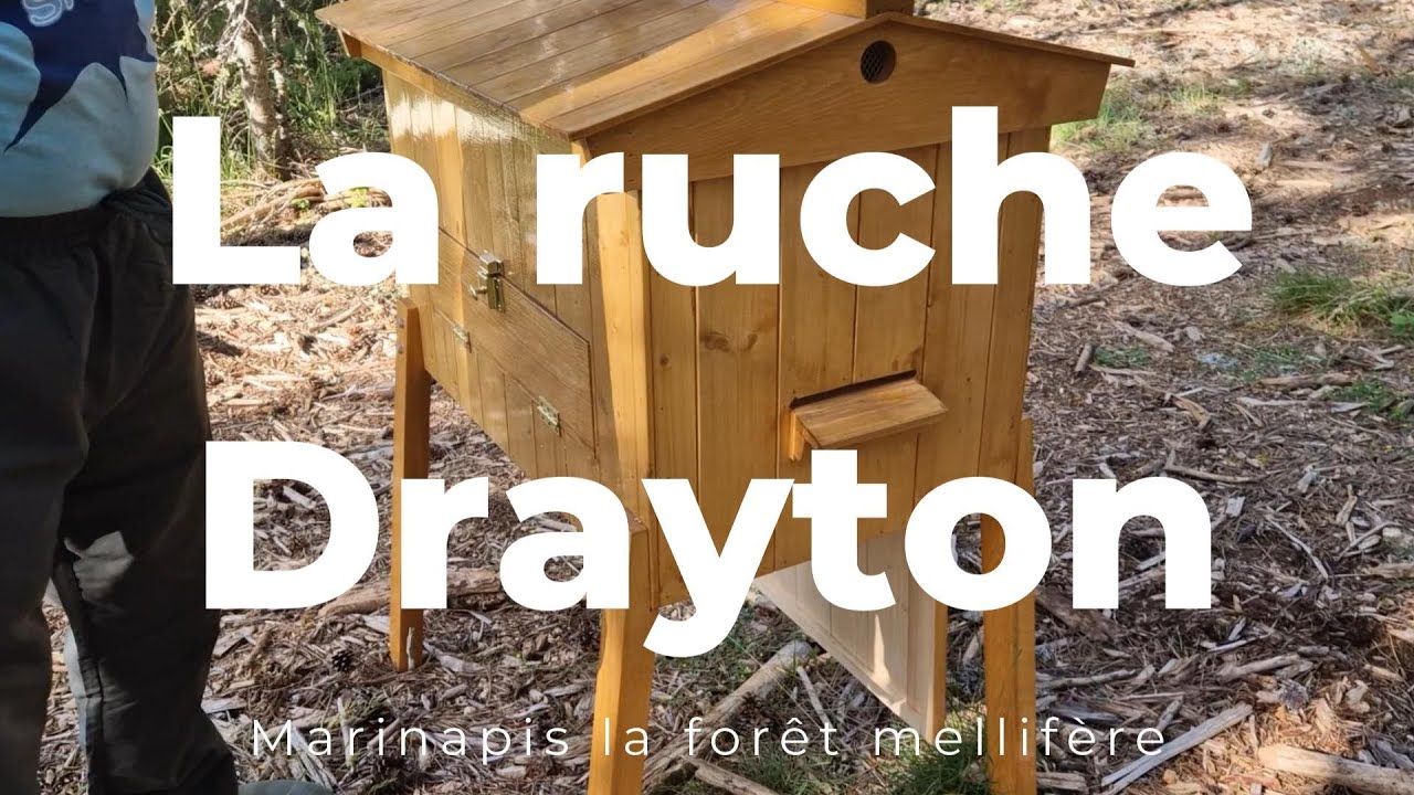 La ruche Drayton, économe pour le dos de l'apiculteur !