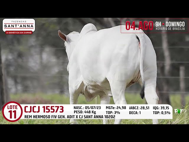 LOTE 11   CJCJ 15573