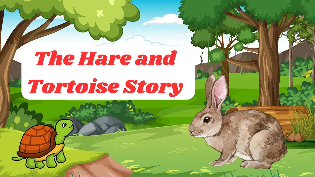 Educational Story I The HAre and Tortoise I The STory Toon - YouTube