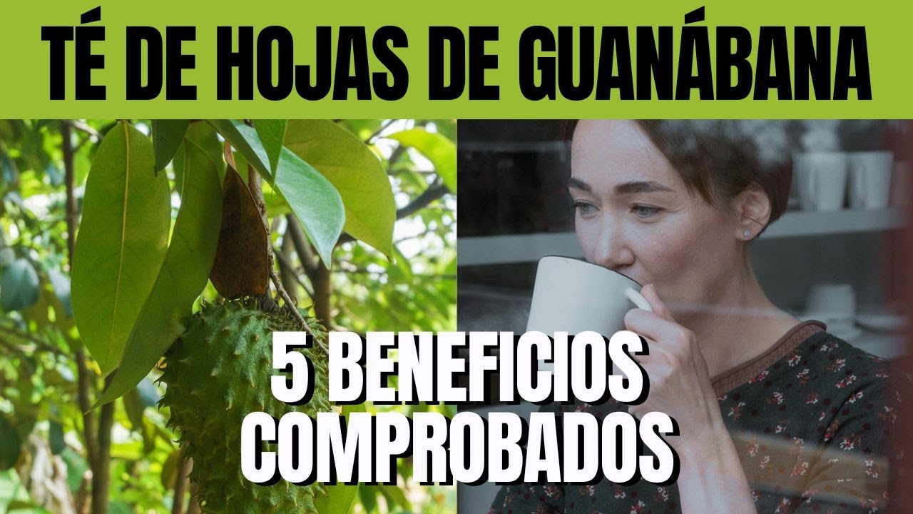 5 Beneficios comprobados del TÉ de HOJAS DE GUANÁBANA YouTube
