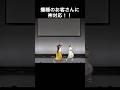 【神対応】ライブ中に爆睡!? #レインボー #劇場 #お笑い