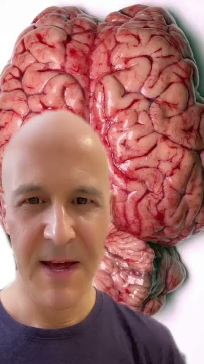 Walnuts are Healthiest...Identical Shape as our Brain | Dr. Mandell   #shorts