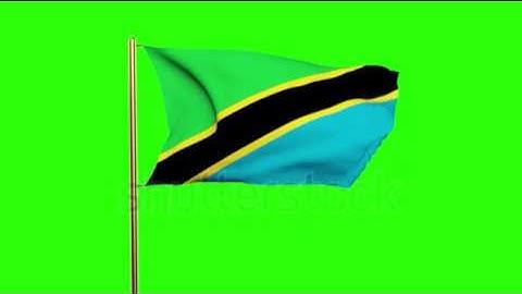 Tanzania flag waving in the wind. Green screen, alpha matte. Loopable animation Stock video by