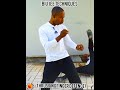 biu jee strike in martial art#martialarts #ilovejeetkunedobroadcast #action