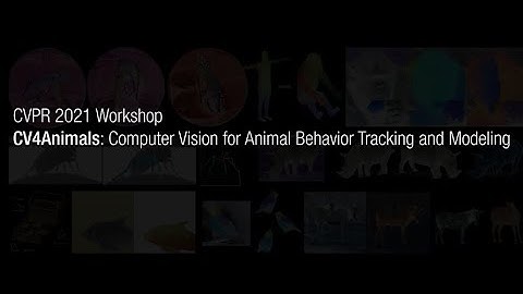 CV4Animals Workshop (CVPR 2021) Session IV