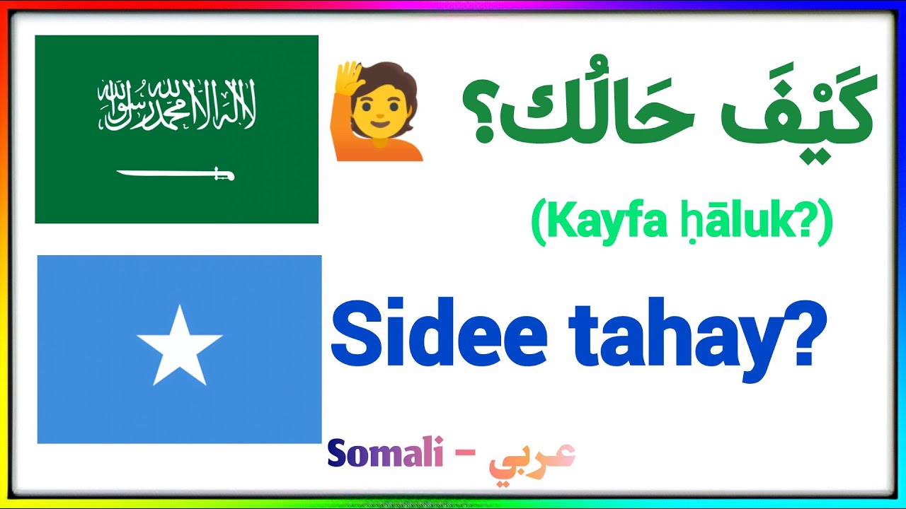 تعلم العربية خطوة بخطوة بالصومالية | Learn Arabic Step by Step | Somali Translation @Luqadda