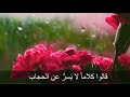 قالوا كلاما لا يسر عن الحجاب قالوا كلاما لا يسر عن الحجاب