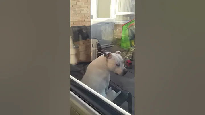 He has all ways done this