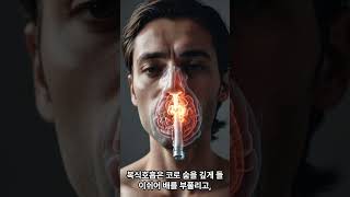 숨만 잘 쉬어도 혈압이 달라집니다 복식호흡 5분 #이슈 #증량 #지식