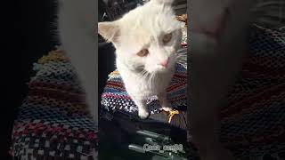 Erôll Özel लल Şfet