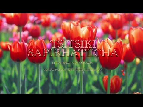 Tsitsiki Sapirhatiicha- Grupo