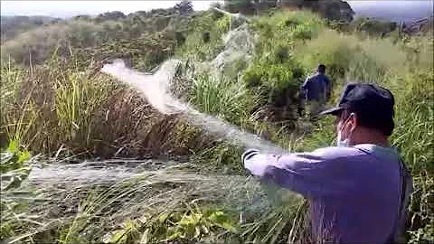 112年7月2日   永鸿隆船队   奉何清吉理事长指示   出海50公里   苗栗造桥山区   铲除鸽网 - 天天要闻