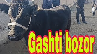 Qashqadaryo viloyati Koson tumani Poʻlati mol bozori narxlari 09.01.2022y