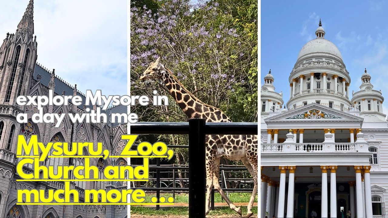 Mysuru in a Day from Bangalore | Mysore Zoo| St Philomena’s Church | Lalitha Mahal | Rail Museum