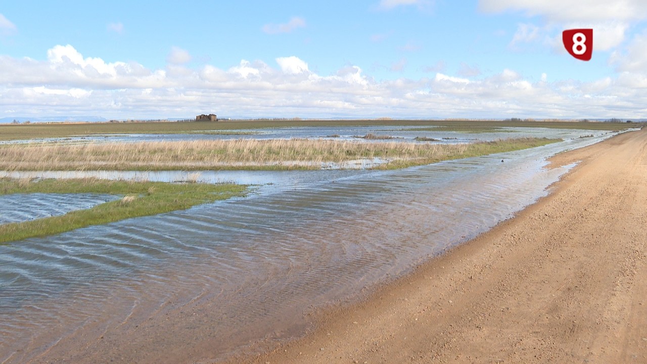 'Campo Palentino' (19-2-2026)