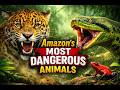 10 Most Dangerous Animals in the Amazon Rainforest