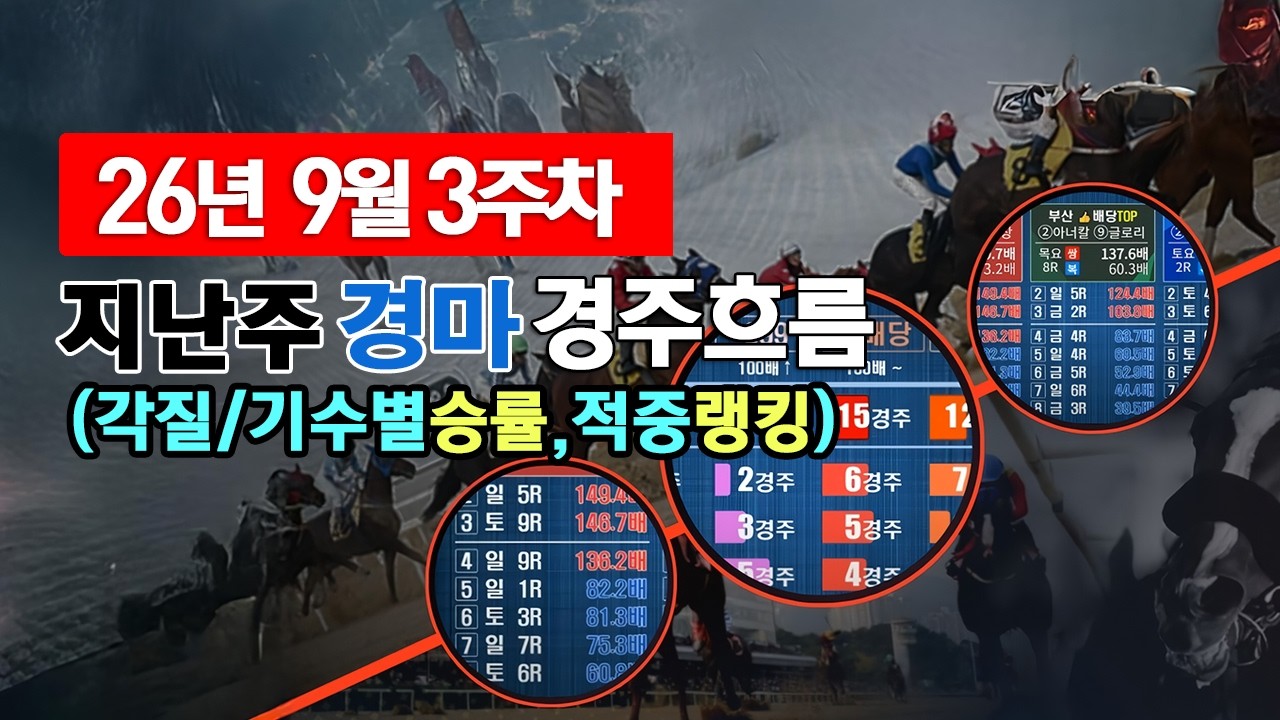 2026년 9월 3주차 경주흐름 및 적중랭킹TOP