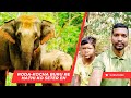 Roda-Kocha Buru re Peya Haathi ko haaj aa kana ko #santhalivideo #viralvideo