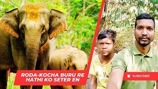 Roda-Kocha Buru re Peya Haathi ko haaj aa kana ko #santhalivideo #viralvideo