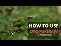 How to Use DxO PureRaw with Lightroom