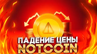 Обман От Разработчиков Notcoin? - Падение Цены NOT Это Только Начало