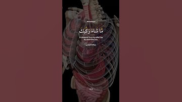 ﴿ يَا أَيُّهَا الْإِنسَانُ مَا غَرَّكَ بِرَبِّكَ الْكَرِيمِ﴾[ سورة الانفطار: 6]  #shortvideo
