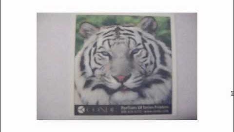 Sublimation FAQ: Paper Issues in Dye Sub -