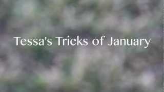 Tessa's January Tricks screenshot 3