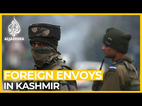 Analysis: Foreign envoys in Kashmir, India's 'propaganda tour'?