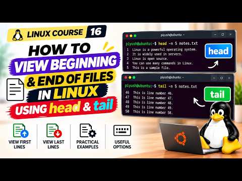 Linux head & tail Commands Explained | View First & Last Lines of Files