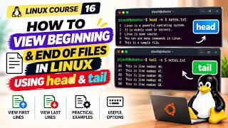 Linux head & tail Commands Explained | View First & Last Lines of Files