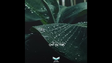 فَهَـٰذَا یَوۡمُ ٱلۡبَعۡثِ || تلاوة هادئة لشيخ ماهر المعيقلي #الصراط_المستقيم