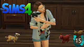 The Sims 4 Horse Ranch (Part 15) Animal Ranch Day