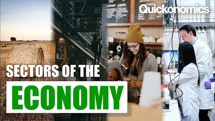 The Sectors of the Economy