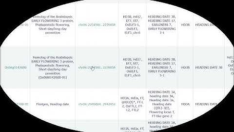 Using Rice Annotation Project Database 1