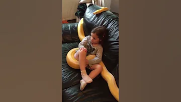 Девочку съел жёлтый питон. Не для слабонервных.