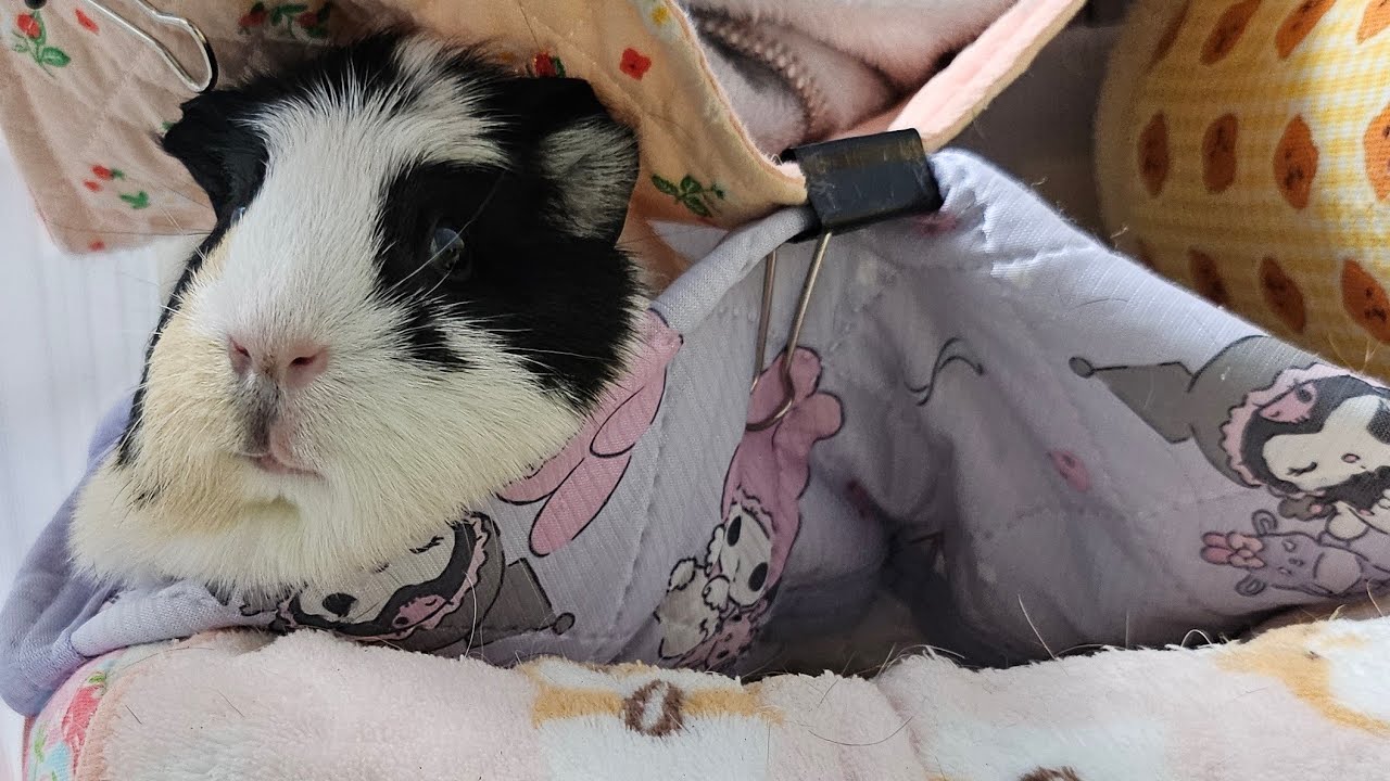 10/01.25 (wed) おはよう🌞 